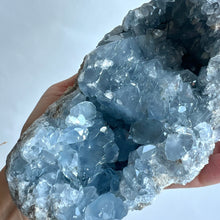 Ladda upp bild till gallerivisning, Celestitkluster 1774 g