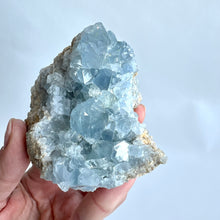 Ladda upp bild till gallerivisning, Celestitkluster 297 g