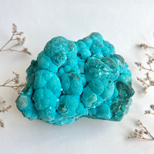 Load image into Gallery viewer, Chrysocolla on Malachite XL