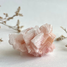 Load image into Gallery viewer, Pink Halite Cluster #5
