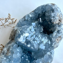 Ladda upp bild till gallerivisning, Celestitkluster 1774 g