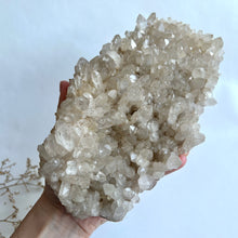 Ladda upp bild till gallerivisning, Rökkvartskluster XL