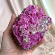 Load image into Gallery viewer, Salrose Cobaltion #5