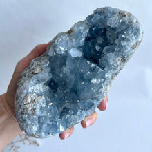 Ladda upp bild till gallerivisning, Celestitkluster 1774 g