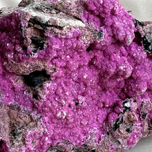 Load image into Gallery viewer, Salrose Cobaltion #5