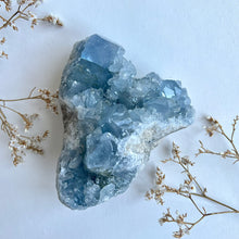 Load image into Gallery viewer, Celestite Cluster 1011g