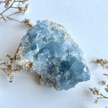 Ladda upp bild till gallerivisning, Celestitkluster 297 g