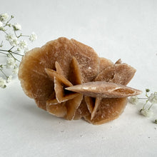 Load image into Gallery viewer, Desert Rose #7