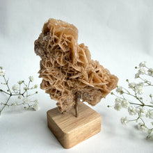 Load image into Gallery viewer, Desert Rose on a stand, #4