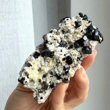 Load image into Gallery viewer, Black Tourmaline (collector grade)