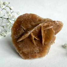 Load image into Gallery viewer, Desert Rose #7