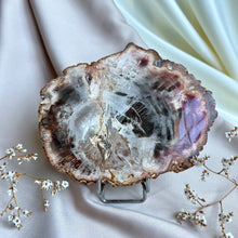 Load image into Gallery viewer, Petrified Wood Slice #1