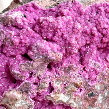 Load image into Gallery viewer, Salrose Cobaltion #5