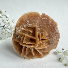 Load image into Gallery viewer, Desert Rose #8