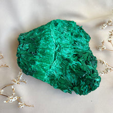 Ladda upp bild till gallerivisning, Silkeslen malakit, stor