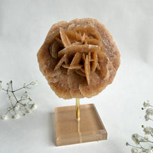 Load image into Gallery viewer, Desert Rose on a stand, #5