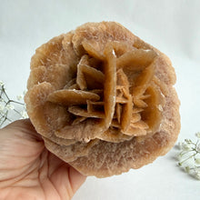 Load image into Gallery viewer, Desert Rose on a stand, #5