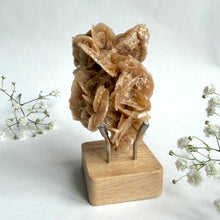 Load image into Gallery viewer, Desert Rose on a stand, #6