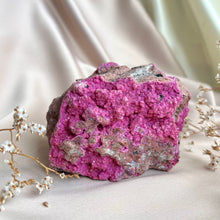 Load image into Gallery viewer, Salrose Cobaltion #5