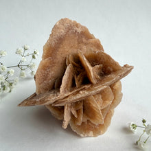 Load image into Gallery viewer, Desert Rose on a stand, #5