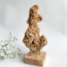 Ladda upp bild till gallerivisning, Desert Rose on a stand, #3