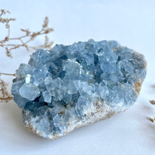 Load image into Gallery viewer, Celestite Cluster 862g
