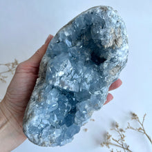 Ladda upp bild till gallerivisning, Celestitkluster 1774 g