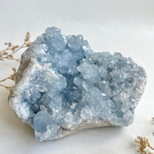 Load image into Gallery viewer, Celestite Cluster 1398g