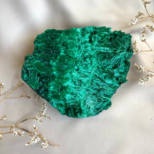 Ladda upp bild till gallerivisning, Silkeslen malakit, stor