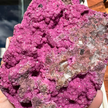 Load image into Gallery viewer, Salrose Cobaltion #5