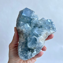 Load image into Gallery viewer, Celestite Cluster 1011g