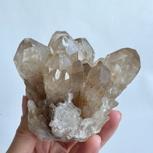 Load image into Gallery viewer, Kundalini Smoky Quartz #1