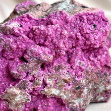 Load image into Gallery viewer, Salrose Cobaltion #5