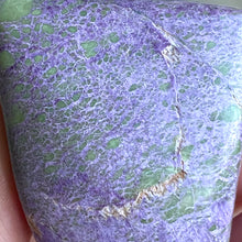 Load image into Gallery viewer, Stichtite #5