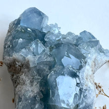 Load image into Gallery viewer, Celestite Cluster 1011g