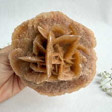 Load image into Gallery viewer, Desert Rose on a stand, #5