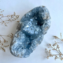 Ladda upp bild till gallerivisning, Celestitkluster 1774 g