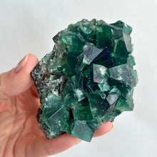 Load image into Gallery viewer, Blue Green Fluorite Cluster #4