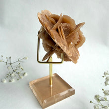 Load image into Gallery viewer, Desert Rose on a stand, #5