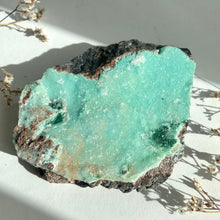 Load image into Gallery viewer, Chrysocolla Druzy #8