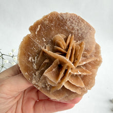 Load image into Gallery viewer, Desert Rose #8