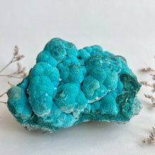 Load image into Gallery viewer, Chrysocolla on Malachite XL