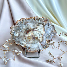 Load image into Gallery viewer, Petrified Wood Slice #2