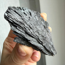 Load image into Gallery viewer, Black Kyanite #1