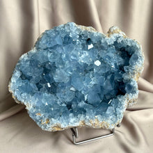 Load image into Gallery viewer, Celestite Cluster XXXL