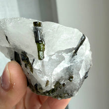Load image into Gallery viewer, Green Tourmaline in Quartz #1