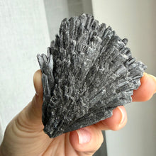 Load image into Gallery viewer, Black Kyanite #1