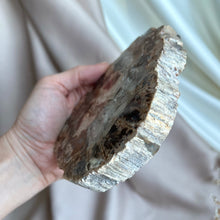 Load image into Gallery viewer, Petrified Wood Slice #4