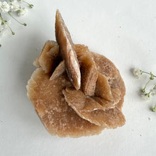 Load image into Gallery viewer, Desert Rose #7