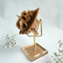 Load image into Gallery viewer, Desert Rose on a stand, #5